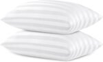 Queen Size Pillows for Side and Back Bed Pillows for Sleeping 2 Pack Sleepers Super Soft Down Alternative Microfiber Filled Pillows 20 x 30 Inches