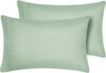 2 Pack - Queen Size 20x30 Inch Sage Green Microfiber Pillowcases with Envelope Closure, Soft and Breathable