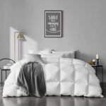 Full Size Feathers Down Comforter - Ultra Soft All Seasons 100% Organic Cotton Feathers Down Duvet Insert Medium Warm Quilted Bed Comforter with Corner Tabs (82x86,Ivory White)